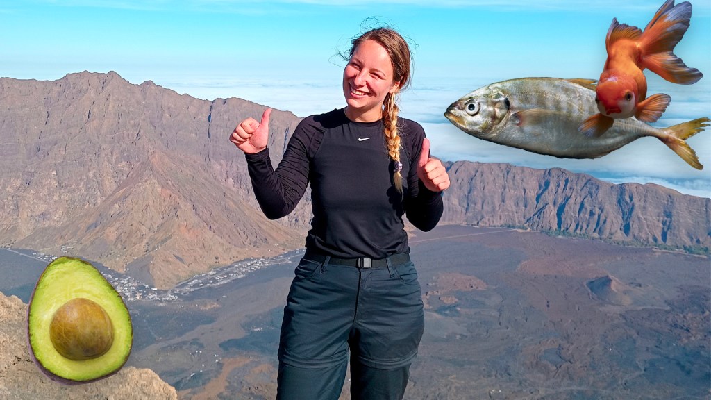 Vegetarian in Cape Verde: challenges and reality. Sustainability, climate change